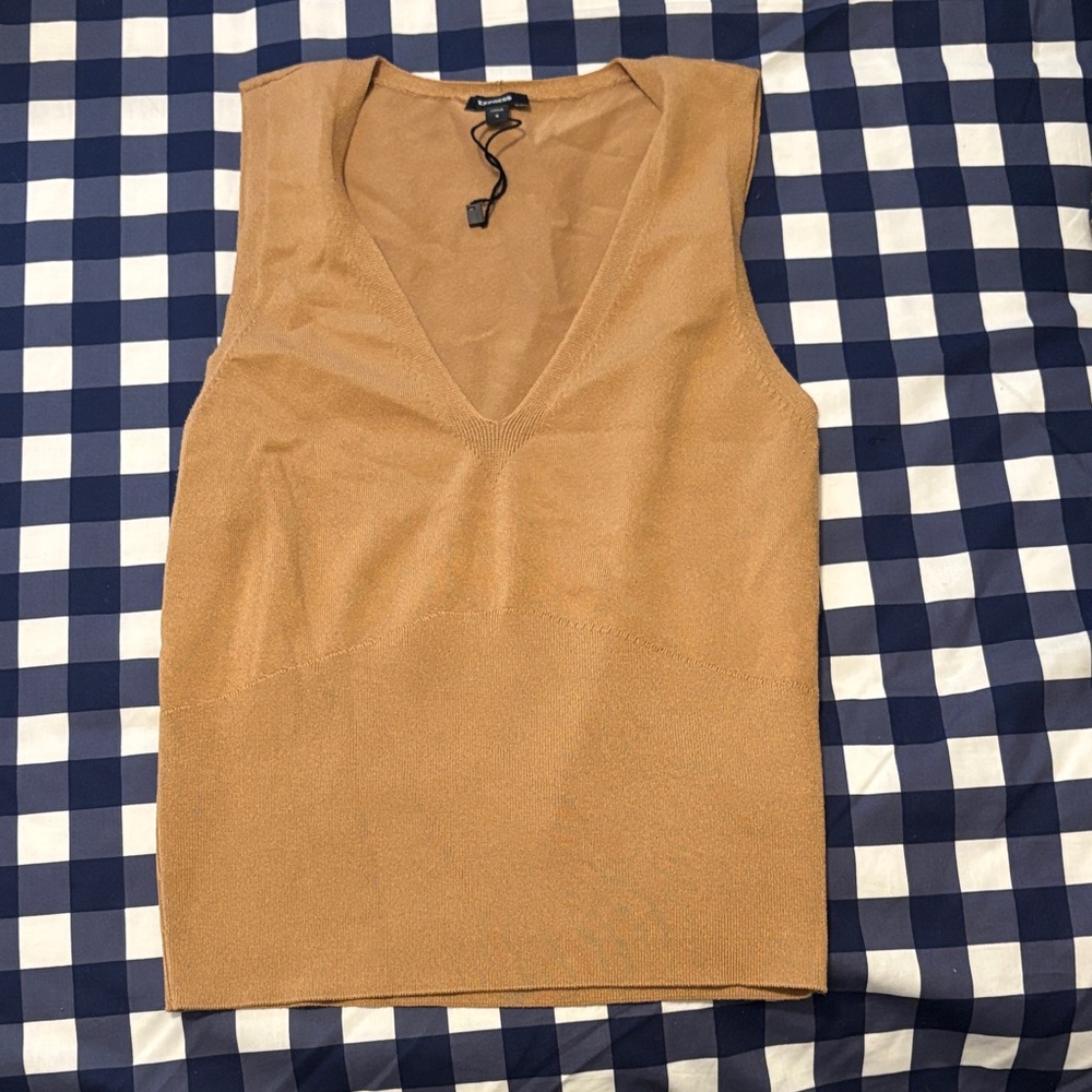 Elegant Tan Sleeveless Top express small light sweater